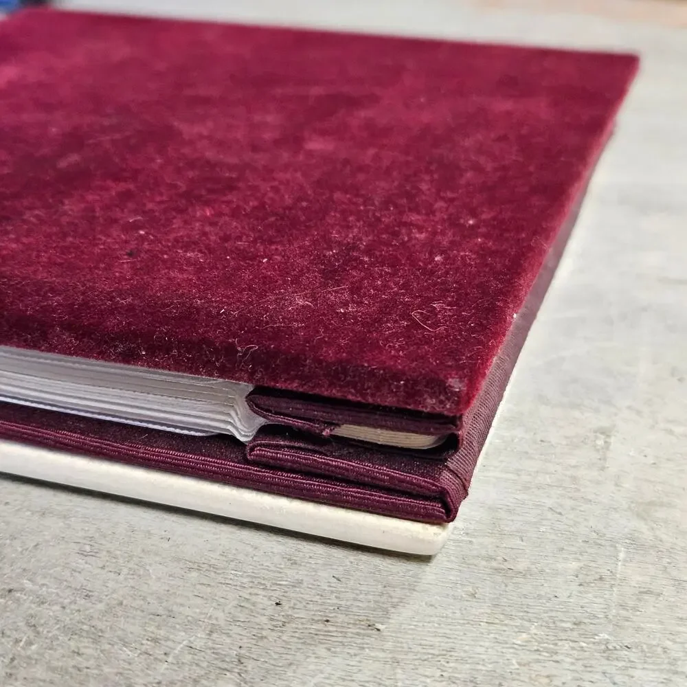 Vintage Rose Photo Album Memory Book | 1980s Melannco Velvet | 80 Capacity